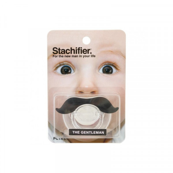 STACHIFIER GENTLEMAN
