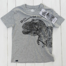 Lion of Leisure dino tshirt GREY 