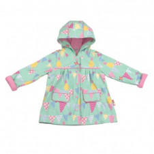 PENNY SCALLAN RAINCOAT PINEAPPLE BUNTING 