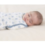 ADEN & ANAIS CLASSIC EASY SWADDLES prince charming