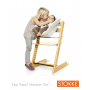 Stokke Tripp Trapp High Chair with newborn set
