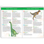 DJECO DINO OBSERVATION PUZZLE