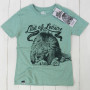 Lion of Leisure lion tshirt Green