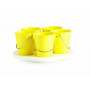 MINI BUCKET TURNTABLE